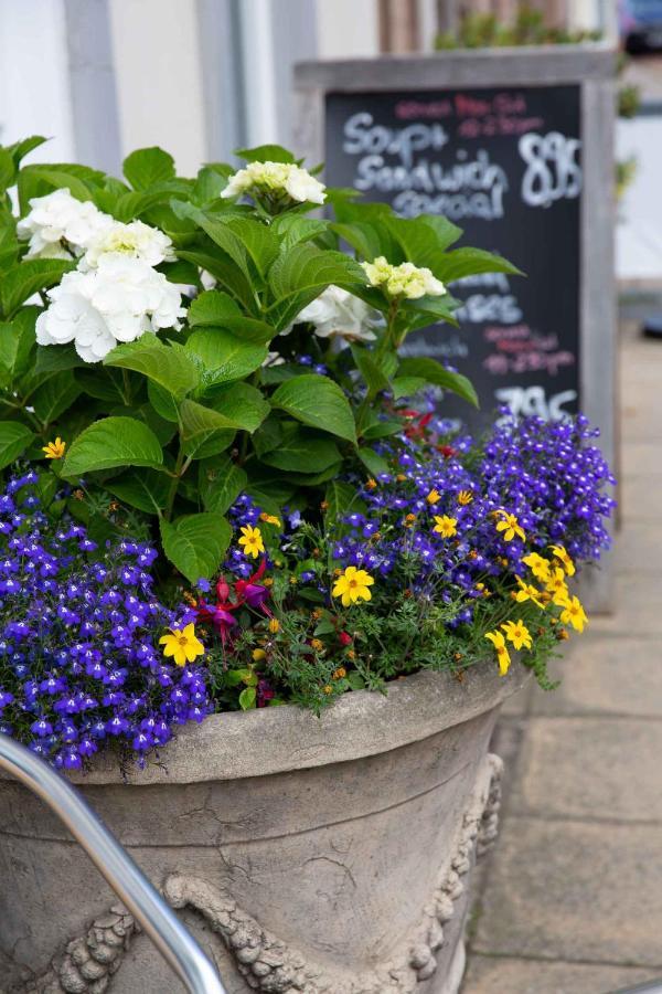 Queens Head Hotel Berwick Upon Tweed Exterior foto